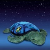 Twilight Sea Turtle-